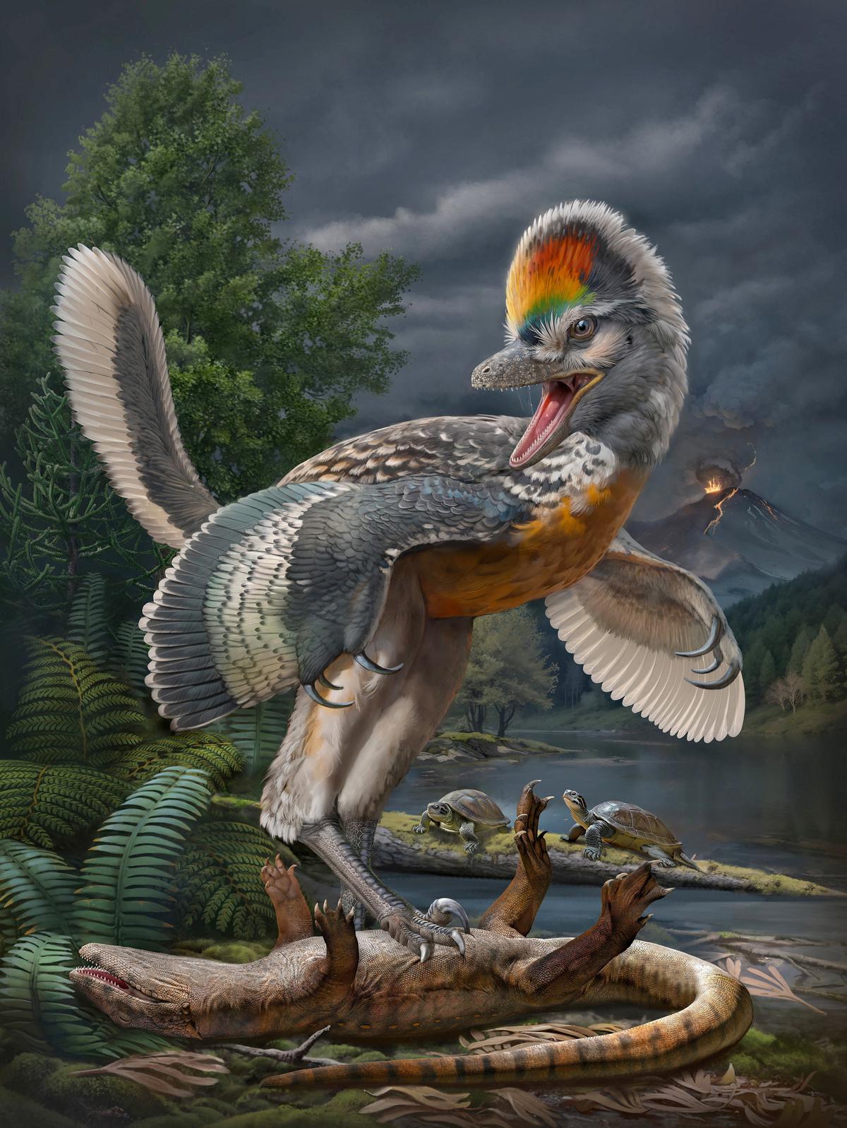 Bizarre’ bird-like dinosaur has scientists enthralled 1