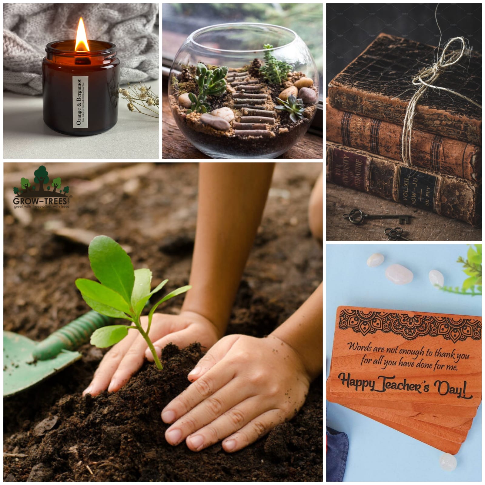 Greet your favourite mentors with these thoughtful gifts on Teachers' Day 1