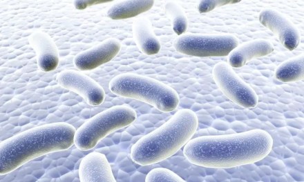 9000 Feet Deep – Magnetic Bacteria Discovered in Deep-Sea Vents