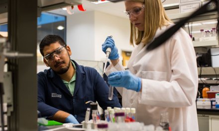 How bacteria can produce electricity, treat wastewater