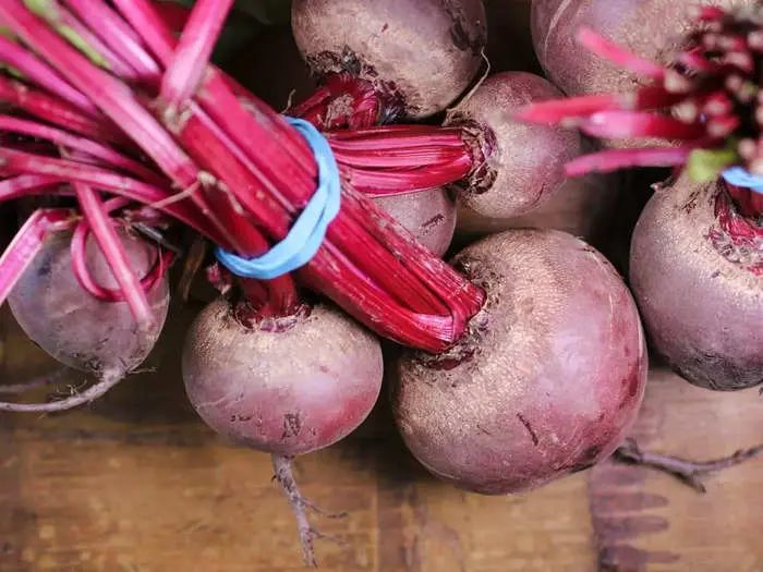 The marvelous Beetroot: Nature’s nutrient-rich gem
