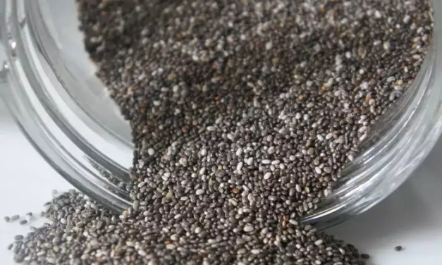 Chia Seeds: A Nutritional Powerhouse for Health and Culinary Delights