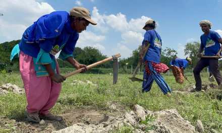“Reforestation helps to build sustainable ecology in urban heat islands,” says Pradip Shah