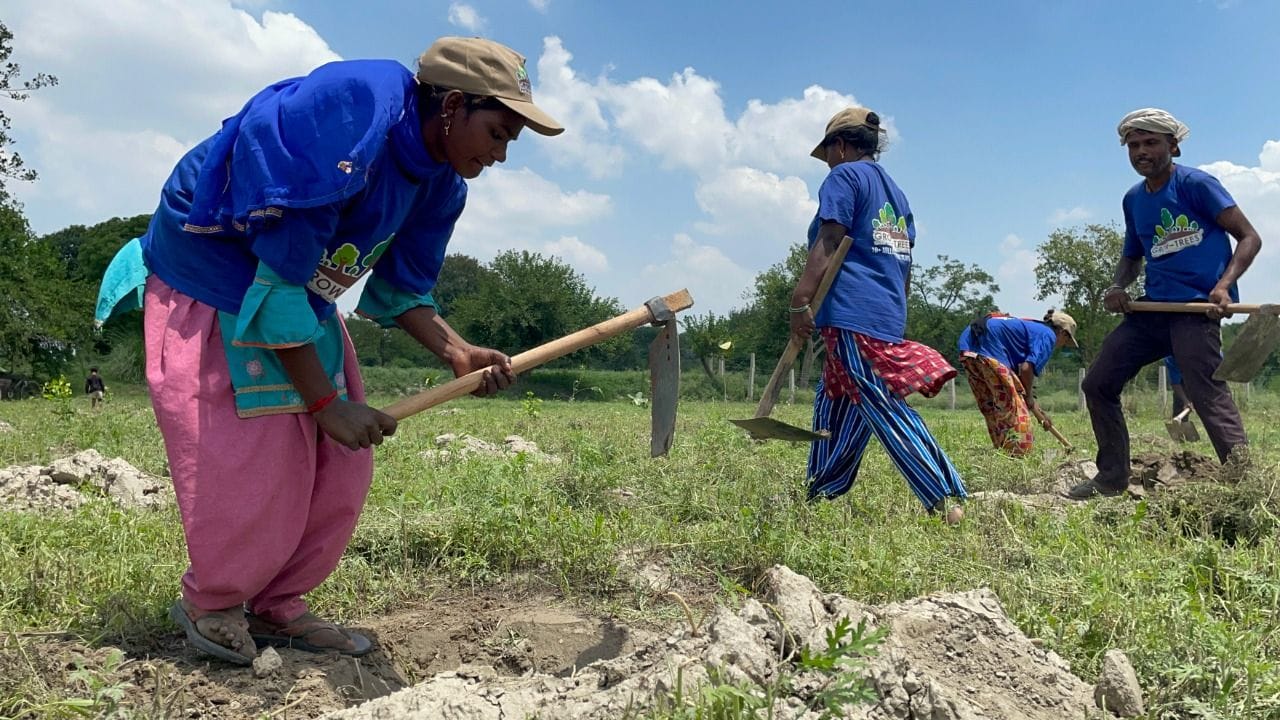 "Reforestation helps to build sustainable ecology in urban heat islands," says Pradip Shah 1 "Reforestation helps to build sustainable ecology in urban heat islands," says Pradip Shah 1