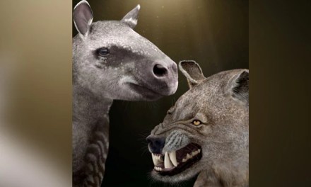 Scientists Estimate Mammals Will Go Extinct In 250 Million Years Due To Extreme Heat