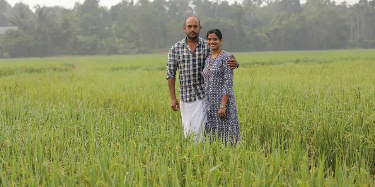 Kerala couple turns barren land into organic paddy farm, sells native rice at up to Rs225 per kg