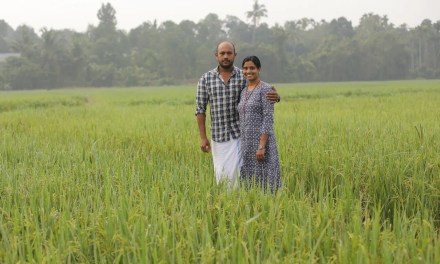 Kerala couple turns barren land into organic paddy farm, sells native rice at up to Rs225 per kg