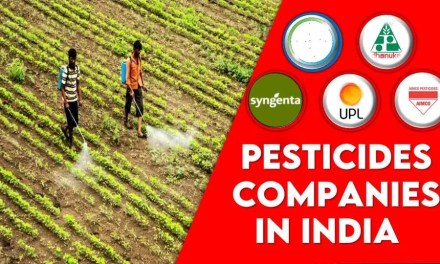 Exclusive Top 12 Pesticide Companies in India | Agrochemicals Companies in India