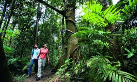 “A thriving ecosystem can create vibrant tourism hotspots,” says environmental expert Pradip Shah