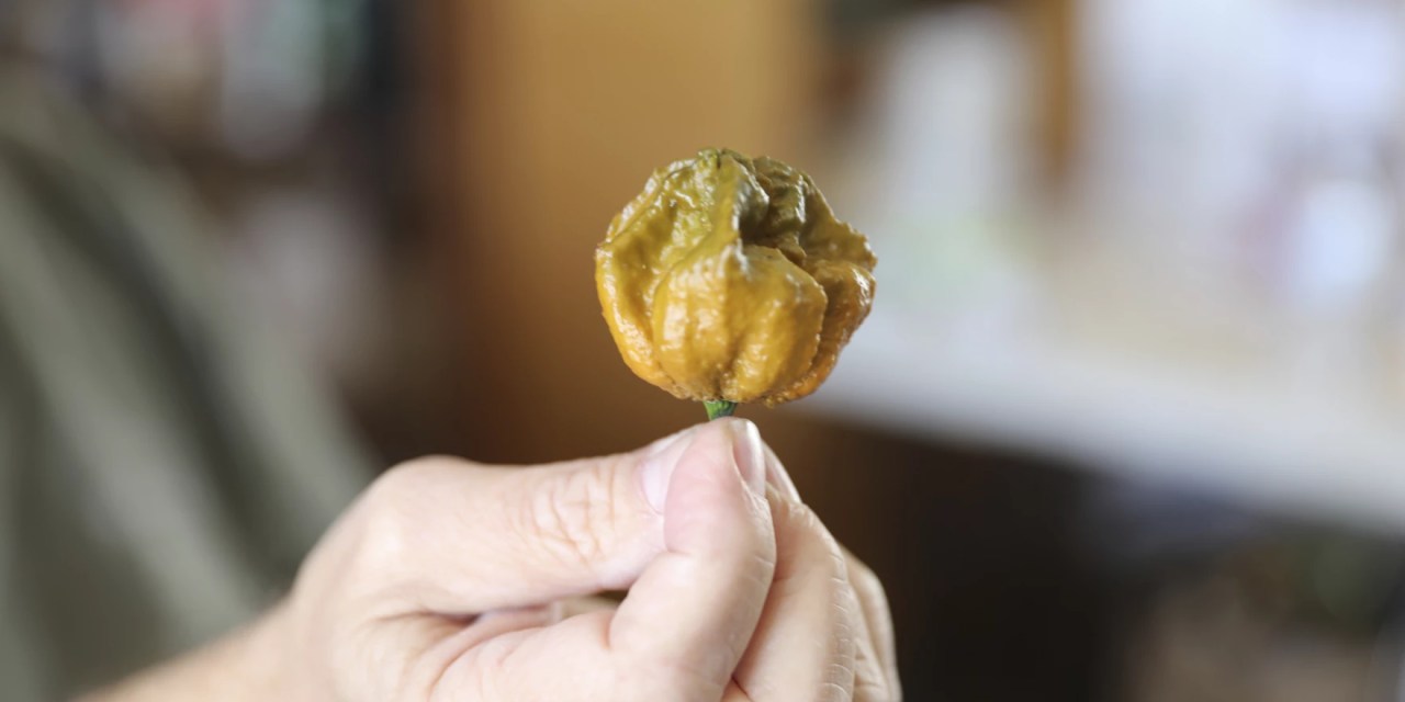 The new world’s hottest pepper, Pepper X, is 3 times spicier than its predecessor
