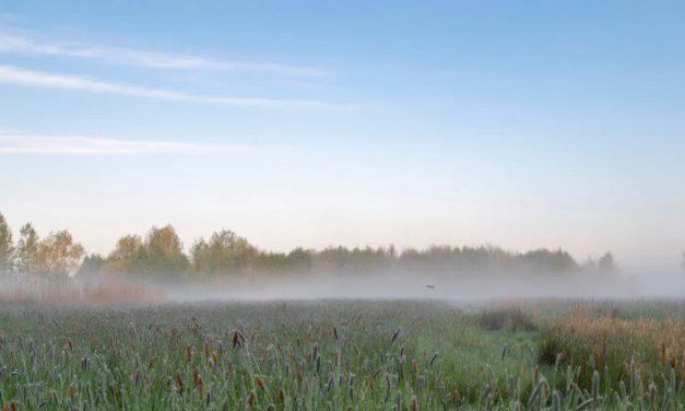 Evapotranspiration Process And Methods Of Measuring