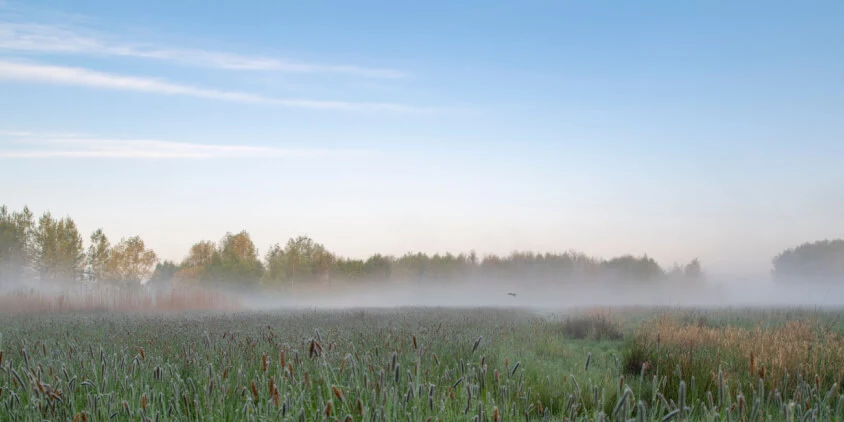 Evapotranspiration Process And Methods Of Measuring 1 Evapotranspiration Process And Methods Of Measuring 1