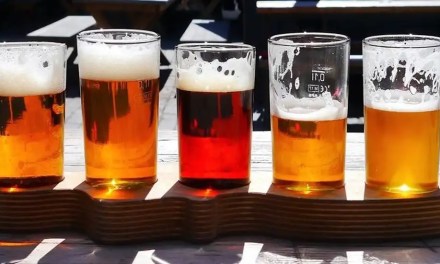 Hops, Skip and a Slump: Climate Change Is Ruining the Taste of Beer While Making the Drink More Expensive
