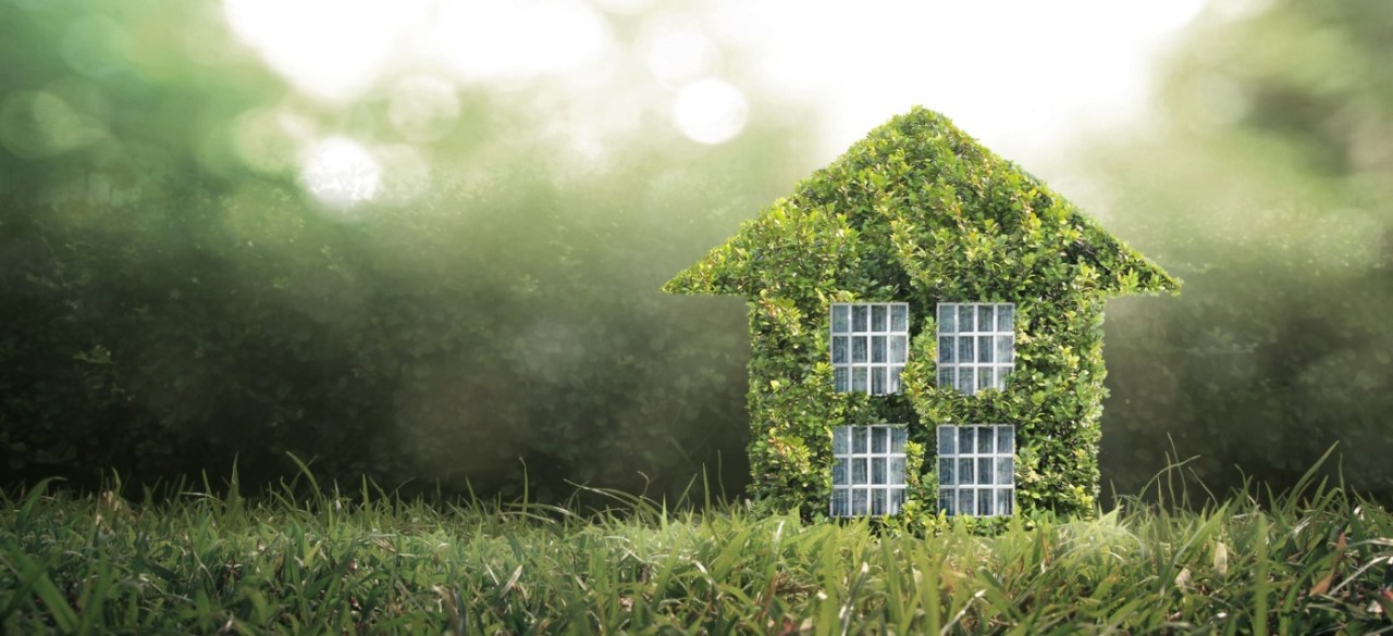 Greening Your Space: Eco-Friendly Home Upgrade Ideas