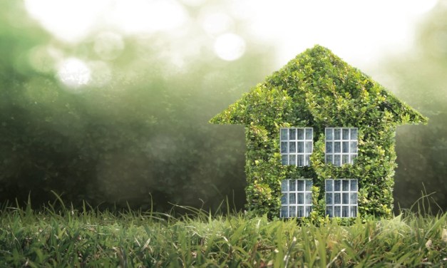 Greening Your Space: Eco-Friendly Home Upgrade Ideas
