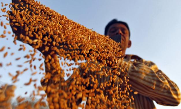 Eco-friendly agriculture holds promise but farmers say they need more support to make the switch