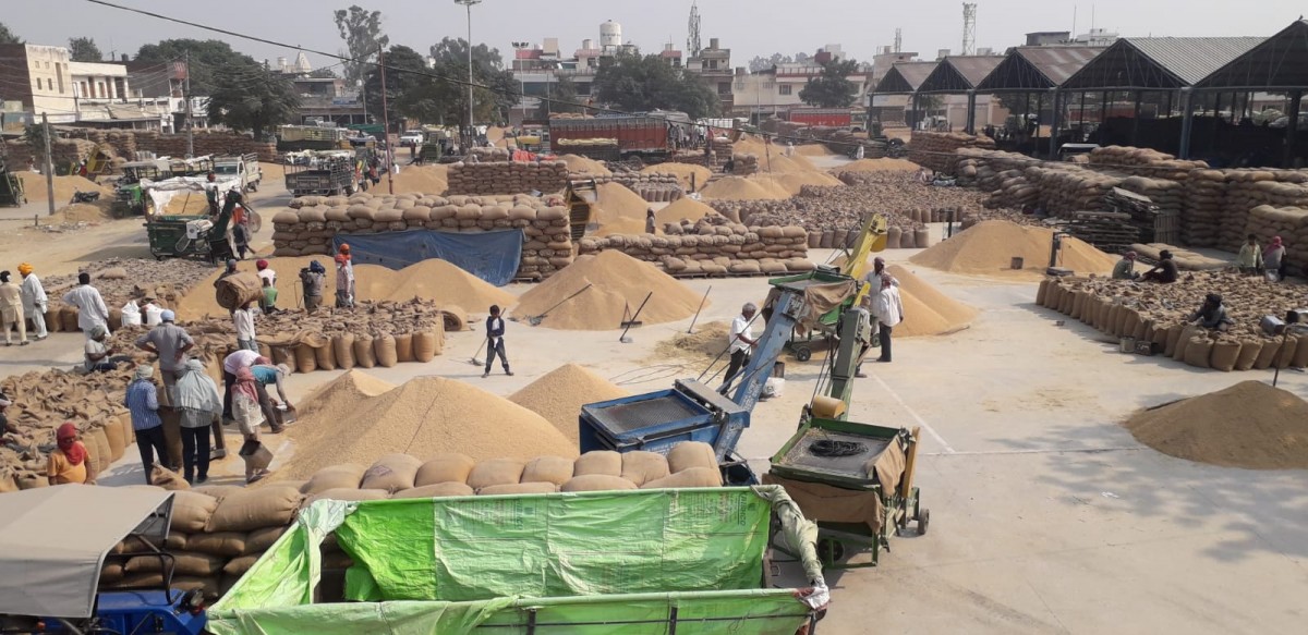The Hurdles in the Way of Reforming Agricultural Markets in India