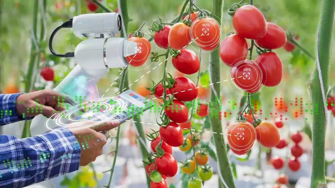 How digital tools are making agriculture sustainable