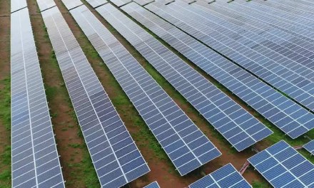 Are solar panels better for climate change mitigation than the creation of forests?