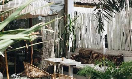 5 Budget-Friendly Modern Balcony Garden Ideas For Apartments