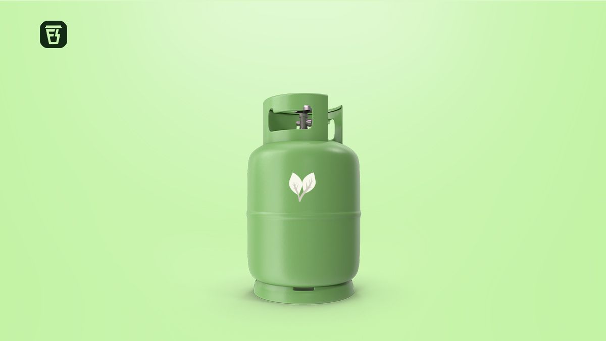 India is stepping on the ‘Bio’gas 1