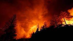 World Bank poised to host climate loss and damage fund, despite concerns