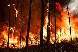 Climate change and noncommunicable diseases: connections