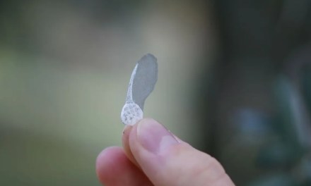 Drones are dropping these robot spinning seeds for soil monitoring