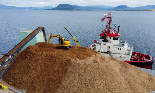 To combat climate change, companies bury plant waste at sea