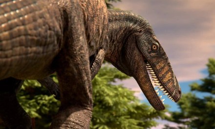 Ancient Predators, Modern Mysteries: Mapping the Crocodile’s Evolutionary Path