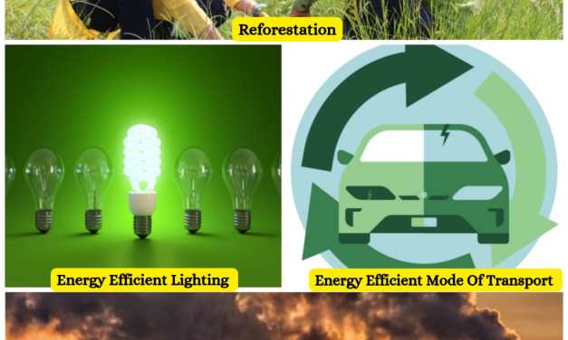 Empower yourself with five practical ways to combat air pollution