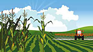 Share of agriculture in India’s GDP declined to 15% in FY23: Govt