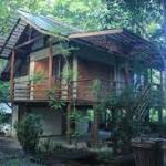 A Home Away From Home: Best Eco-Friendly Homestays In India