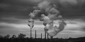 COP: Protecting the Lifestyle of the Well-Off For the 28th Time 1