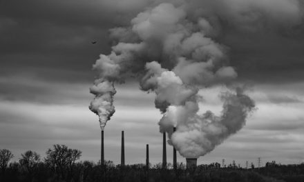 COP: Protecting the Lifestyle of the Well-Off For the 28th Time