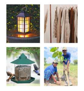 Four nature-friendly gift ideas for a mindful Lohri and Makar Sankranti 1