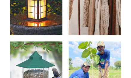 Four nature-friendly gift ideas for a mindful Lohri and Makar Sankranti