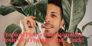 The Best 12 Plants That Give Good Luck and Fortune in 2024 1