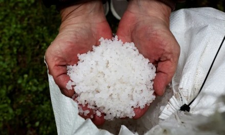 Spain pollution: Millions of plastic pellets wash up on coast