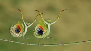 Check out the cute and funny winners of The Nature Photography Contest 1