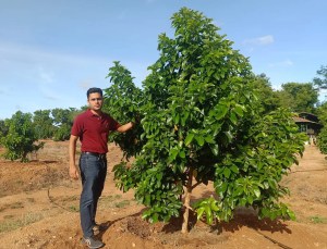 Engineer quits US job to cultivate exotic fruits in TN, earns four times more per acre than traditional fruits 1