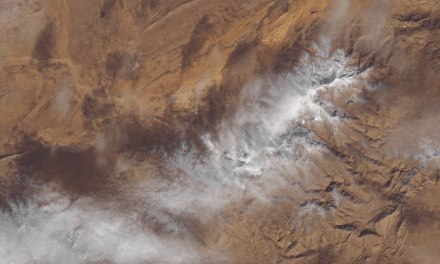 The Sahara Desert Used To Be a Green Savannah and New Research Explains Why