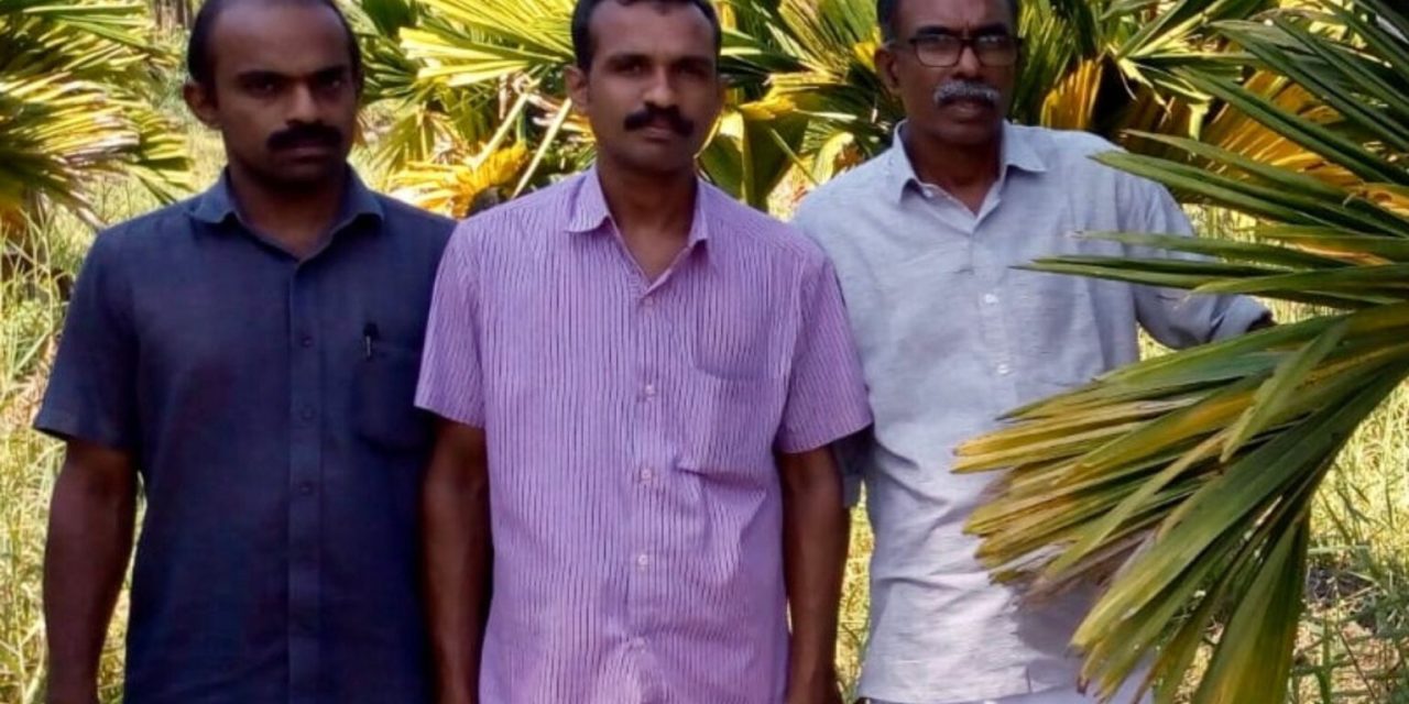 How three friends in Kerala turned barren land into a vegetable farm