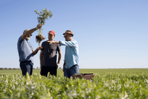 Viewpoint: What’s the science (if any) behind the regenerative agriculture movement? 1