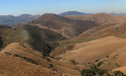 Earth’s oldest rocks reveal diverse microbial ecosystem dating 3B years