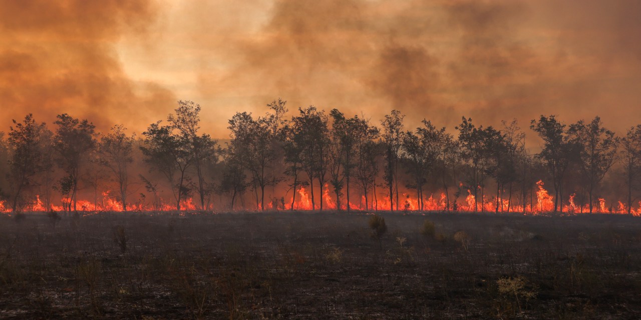 2023, Hottest Year On Record, Highlights Humanity’s Failures, Says Scientist