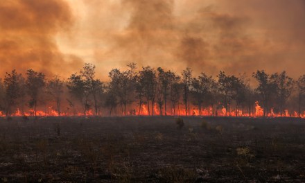 2023, Hottest Year On Record, Highlights Humanity’s Failures, Says Scientist