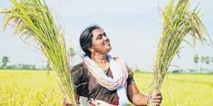 Guntur ryot’s natural farming techniques win global acclaim 1