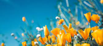 Towards sustainability: a look ahead to environmental moments in 2024