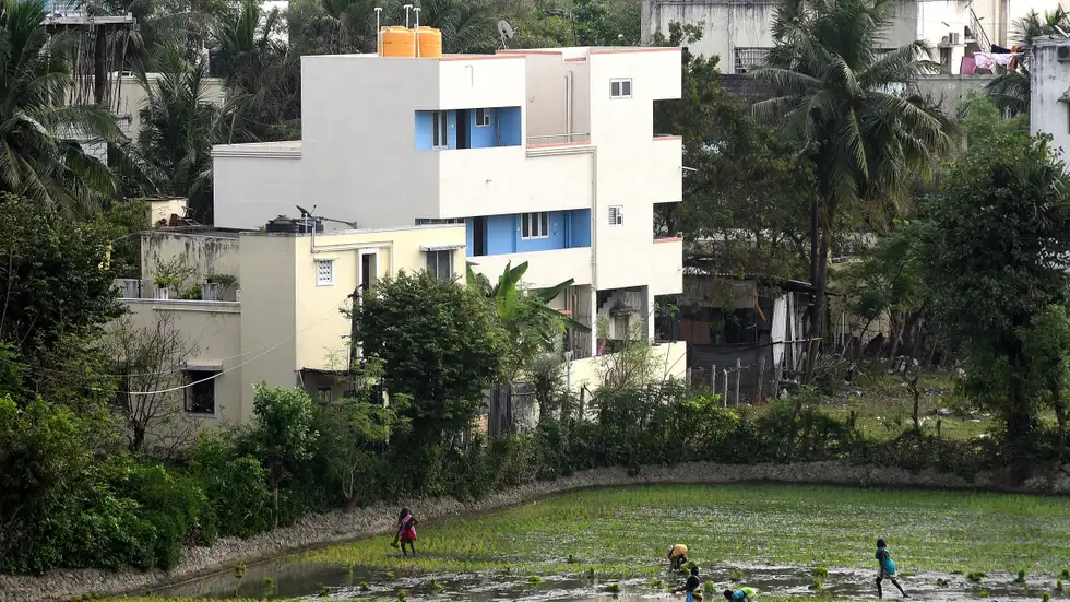 Urban Farms Emit 6x More Planet-Warming Greenhouse Gases Than Conventional Ones, Study Shows